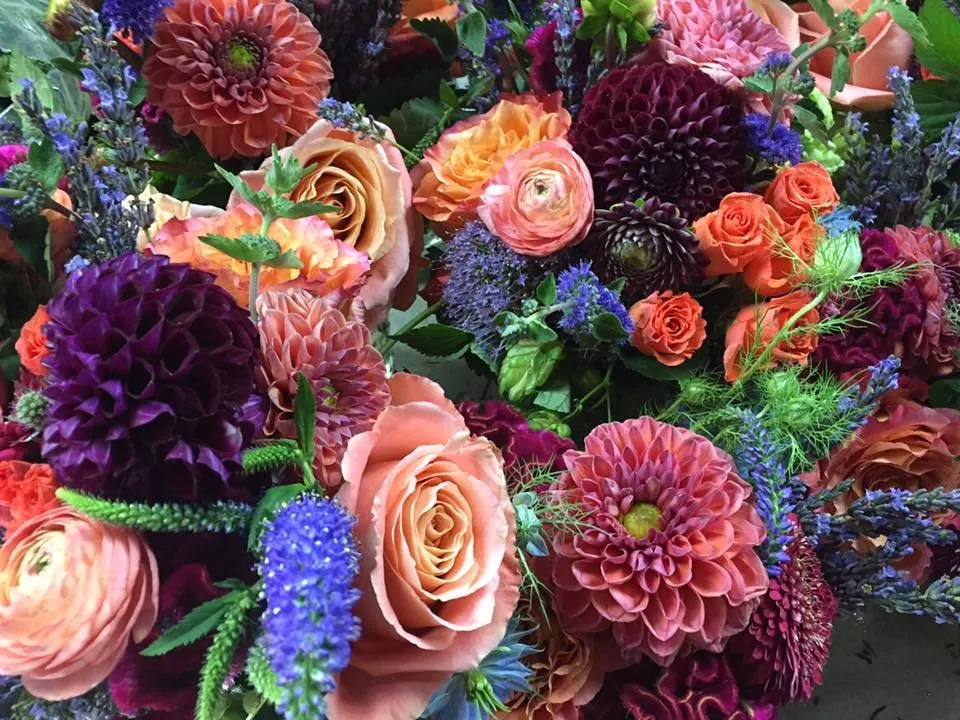 Colorful close floral study with burgundy, peach, pink, and orange blooms.