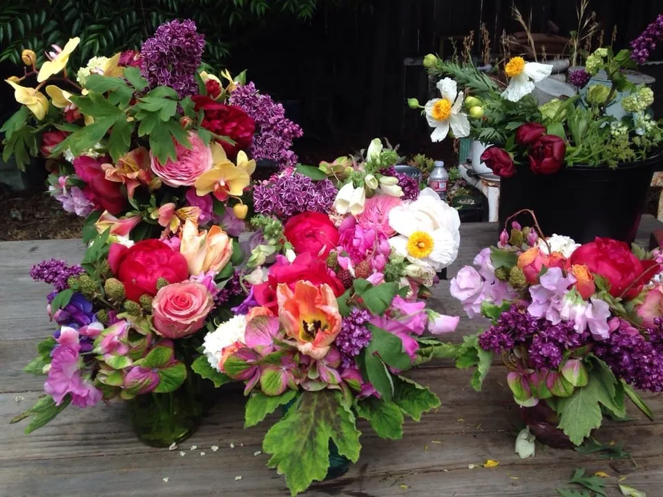 Low garden arrangement with pink, white, and burgundy flowers.